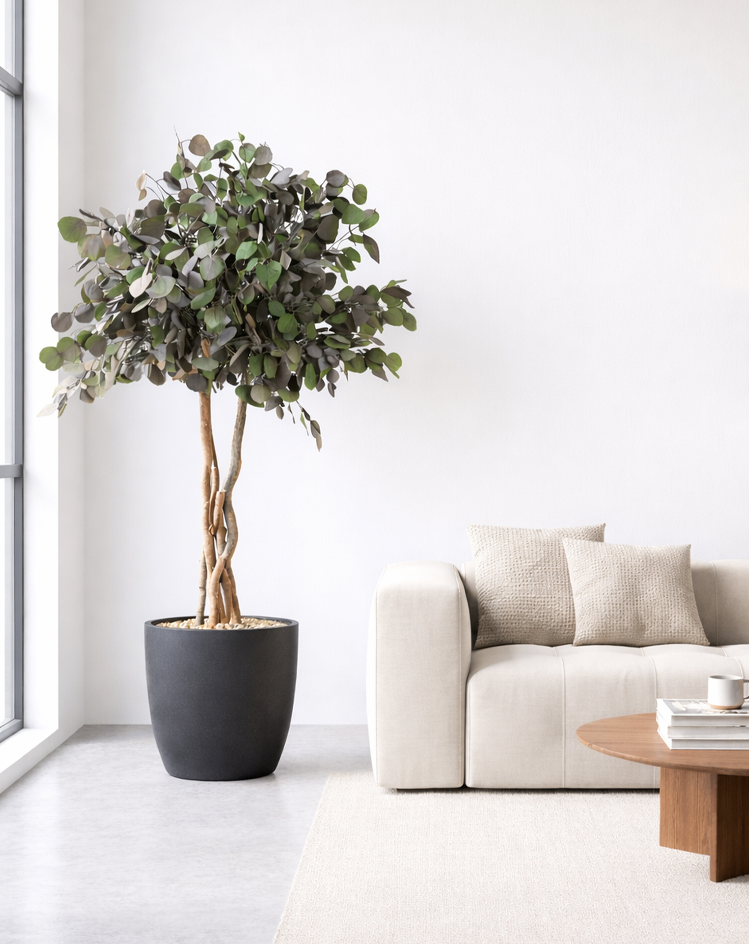 Crown populus2_web