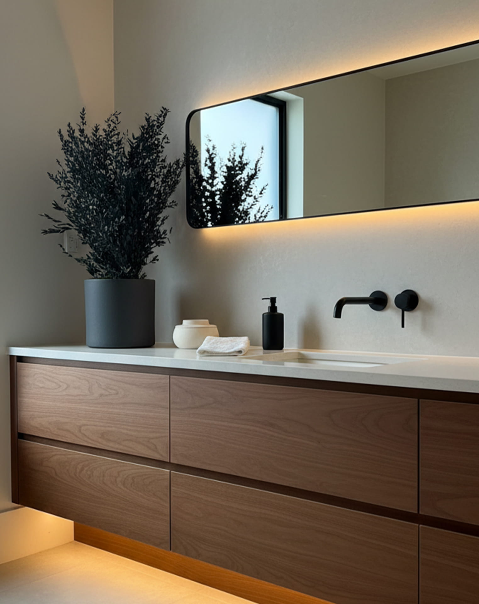 Parifolia_plant_Arborea3