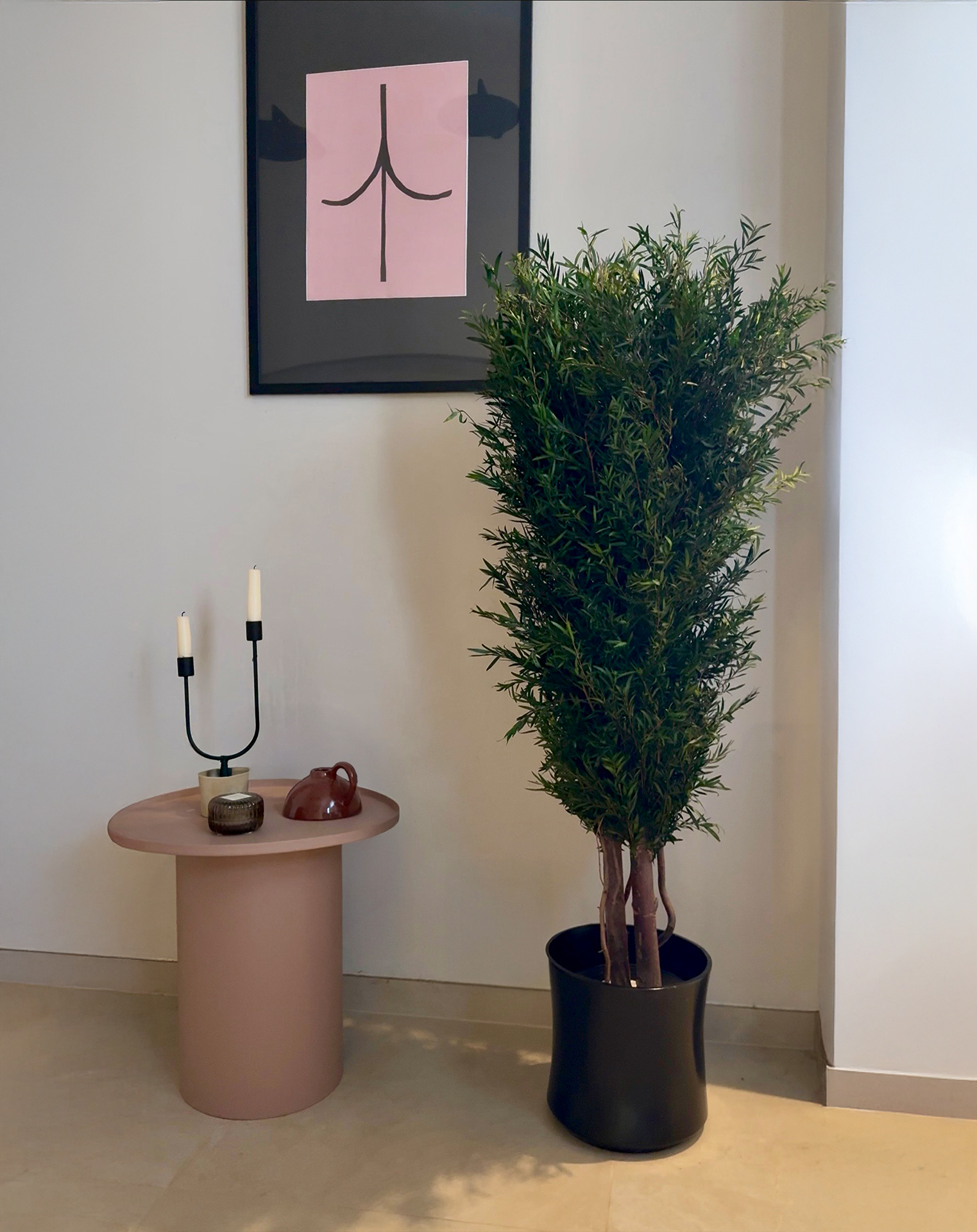 arborea pildid ARBALE:0113jpg