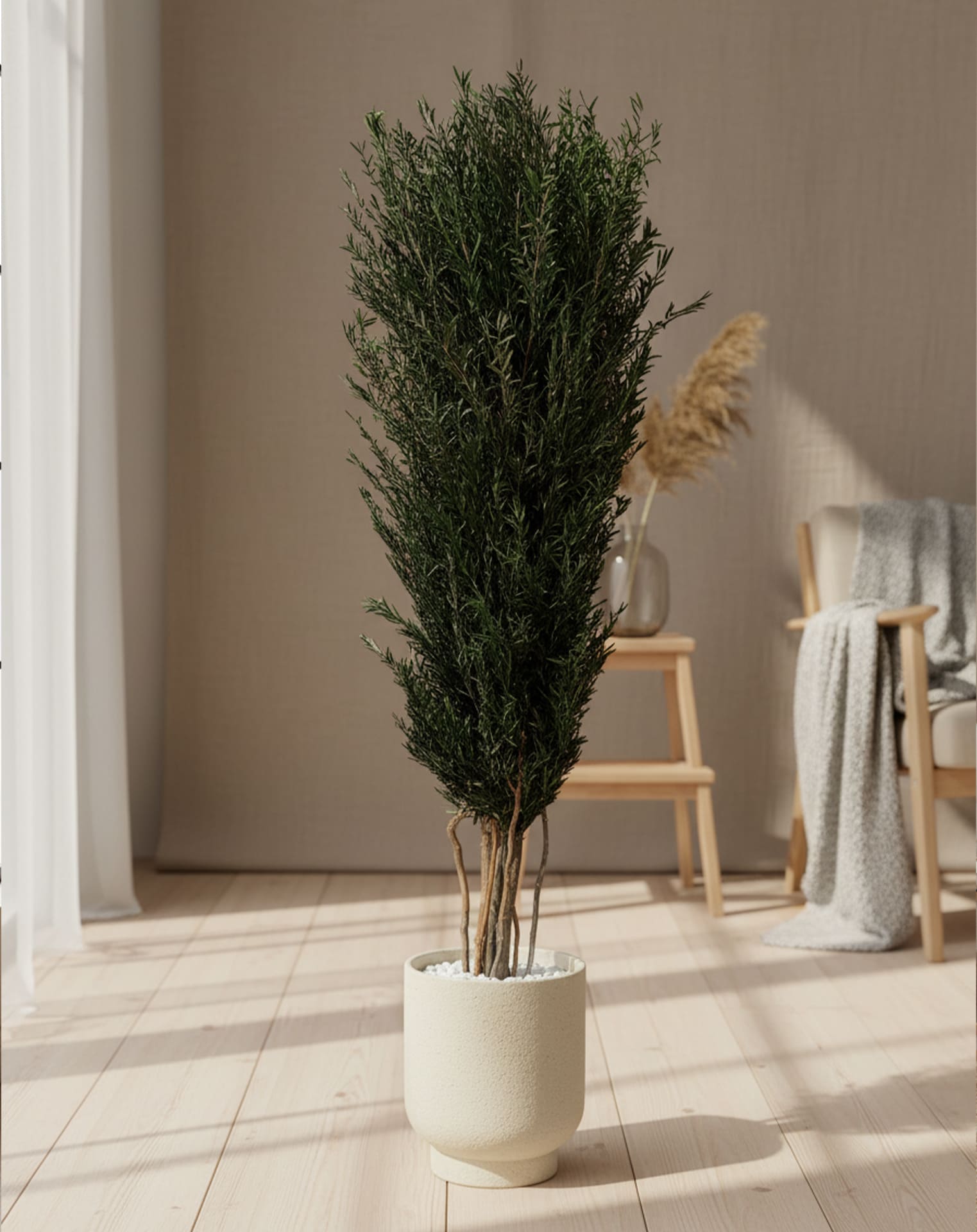 arborea pildid ARBALE:0118-min3