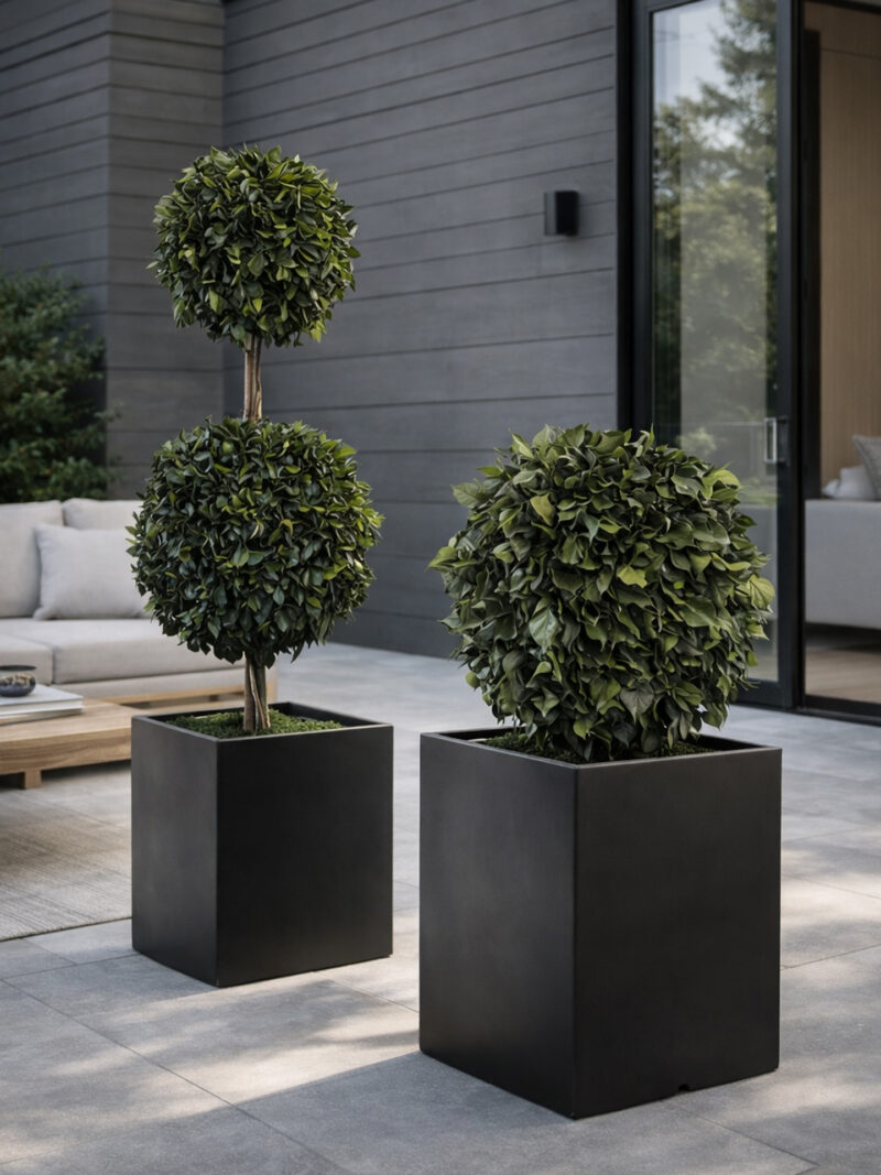 Double Topiary Ivy sphere (ca 140cm)