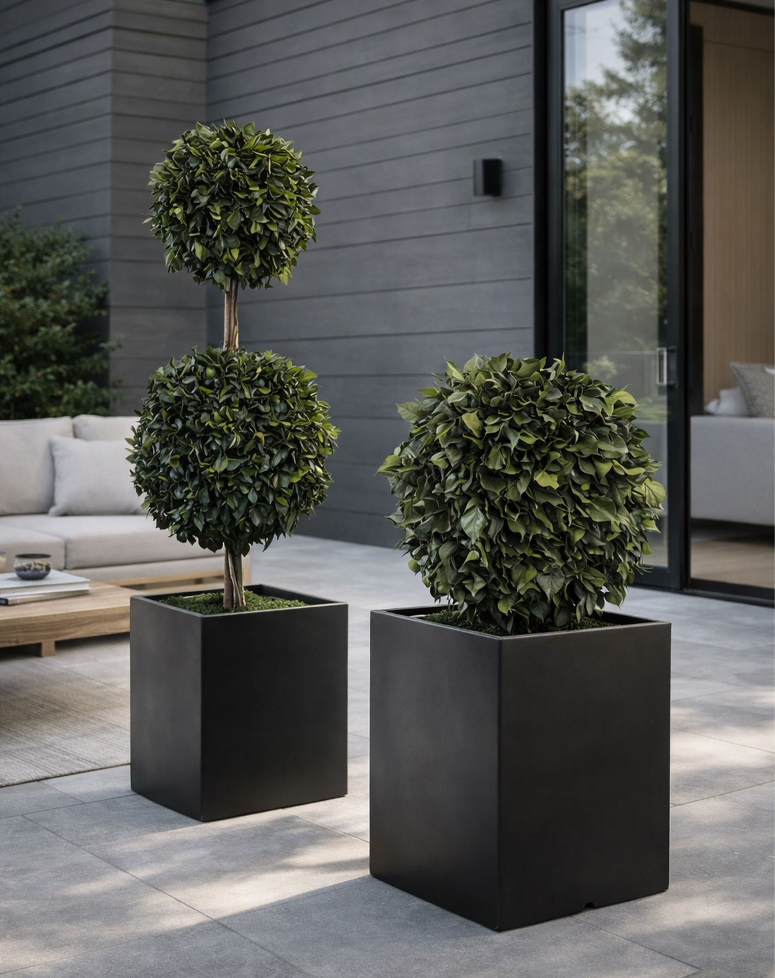 double topiary_web.png