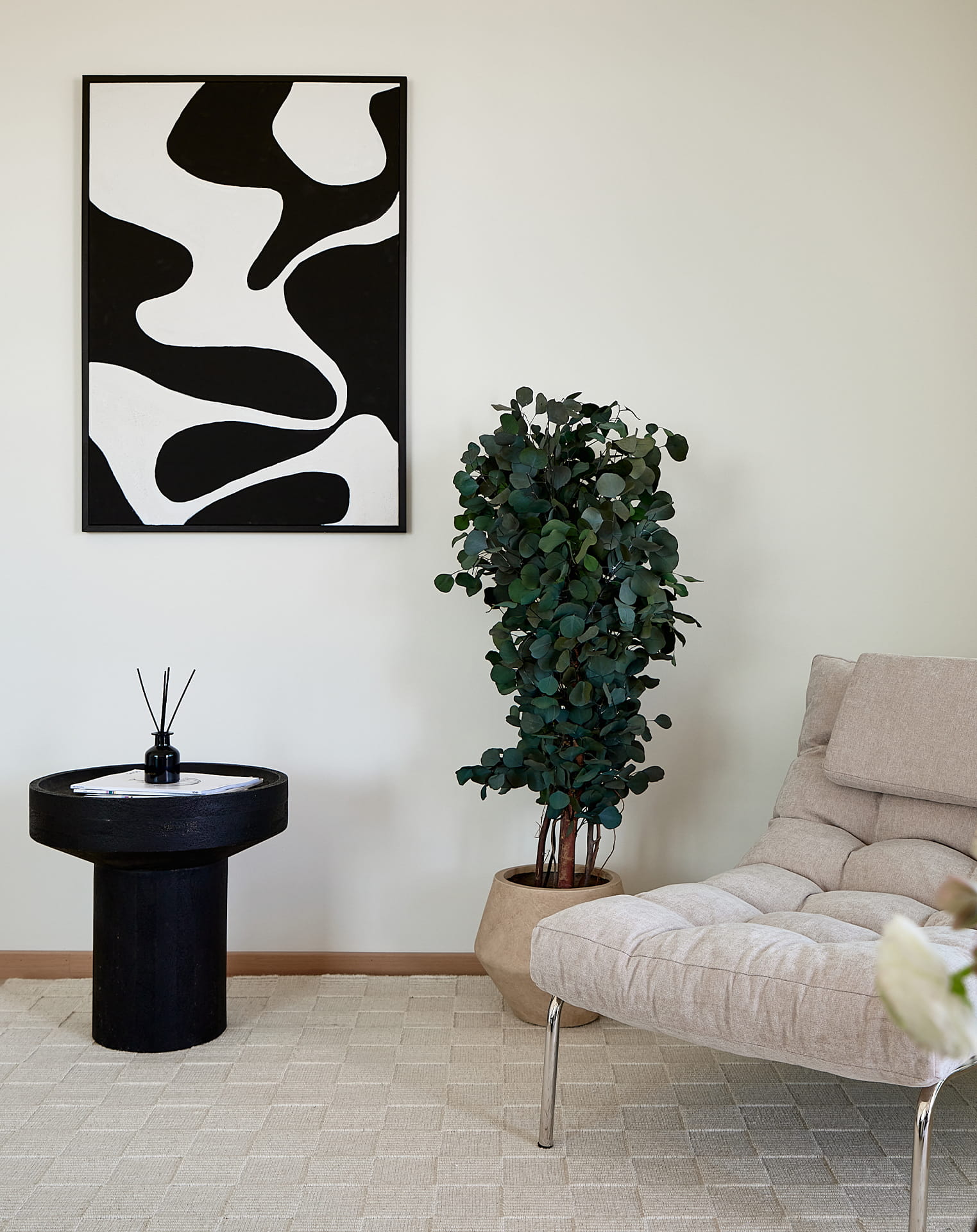 slim populus2