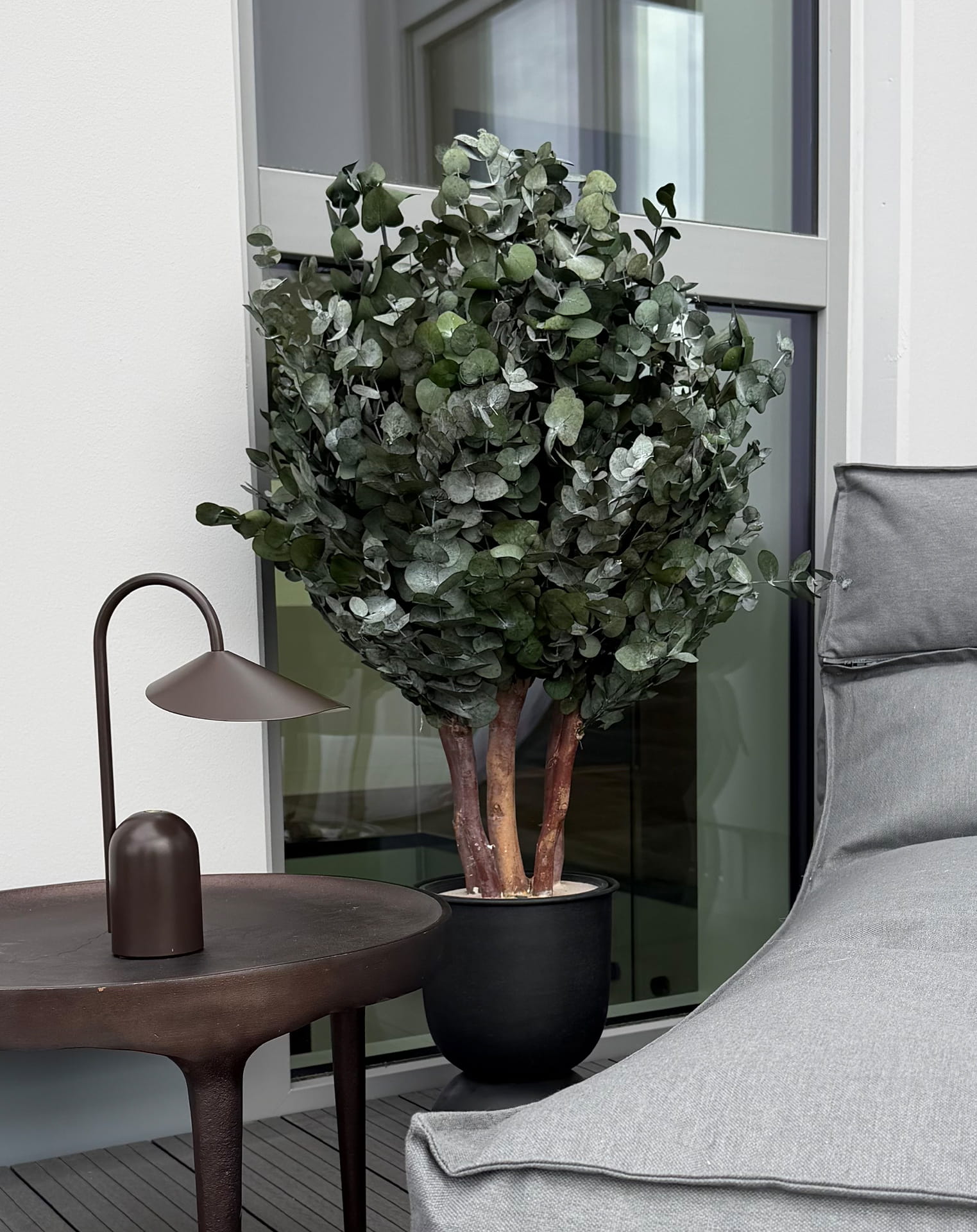 Arborea_Cinerea bush_web
