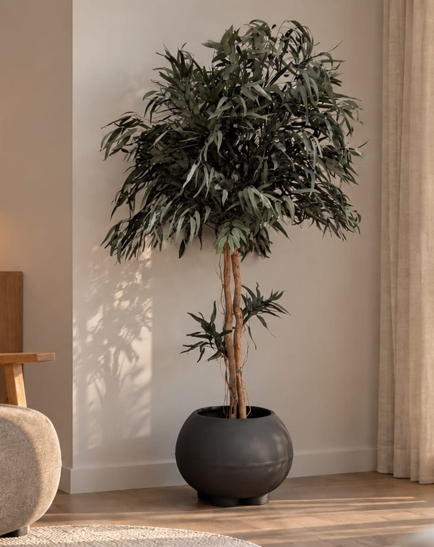 Arborea_Crown Pendula3