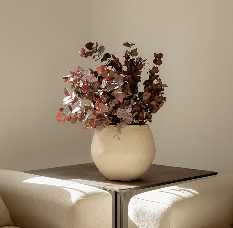 SCI0907-3-plantas