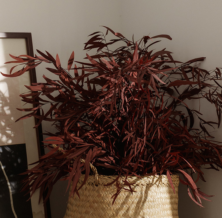 SNI0207-4-plantas