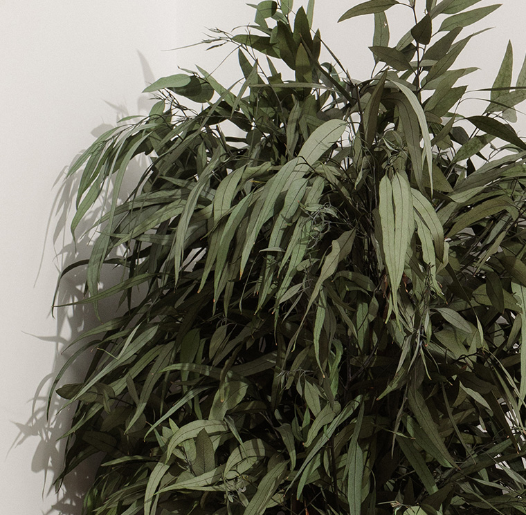 WPE0113-2-wide-pendula