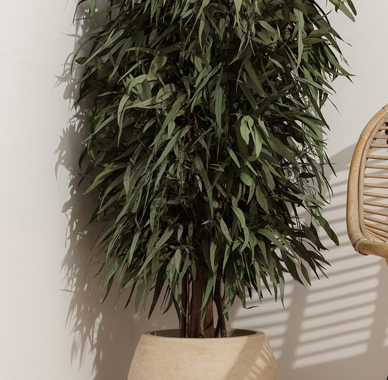 WPE0113-4-wide-pendula