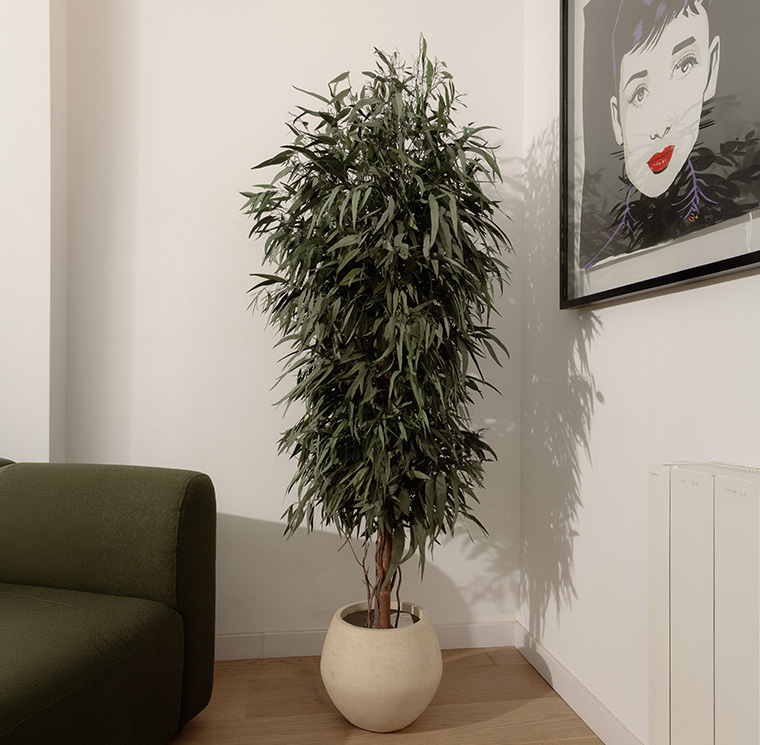 WPE0118-3-wide-pendula